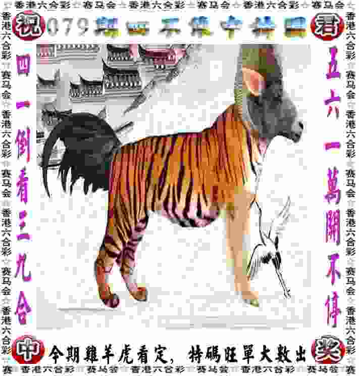 冲刺奥运！中国军团状态喜人